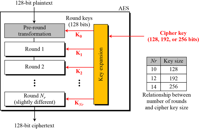 Aes