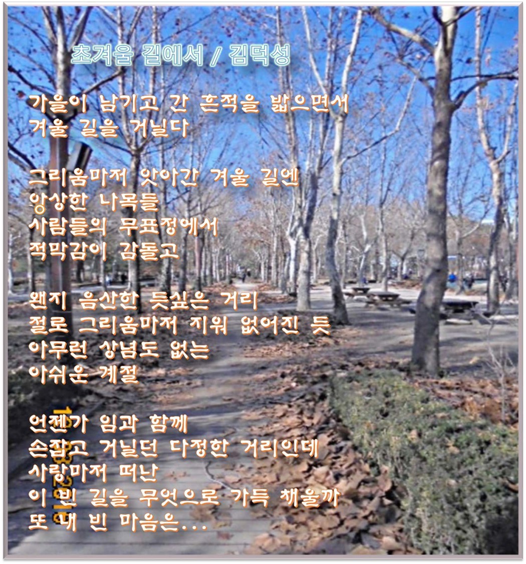 이 글은 파워포인트에서 만든 이미지입니다. 초겨울 길에서 / 김덕성