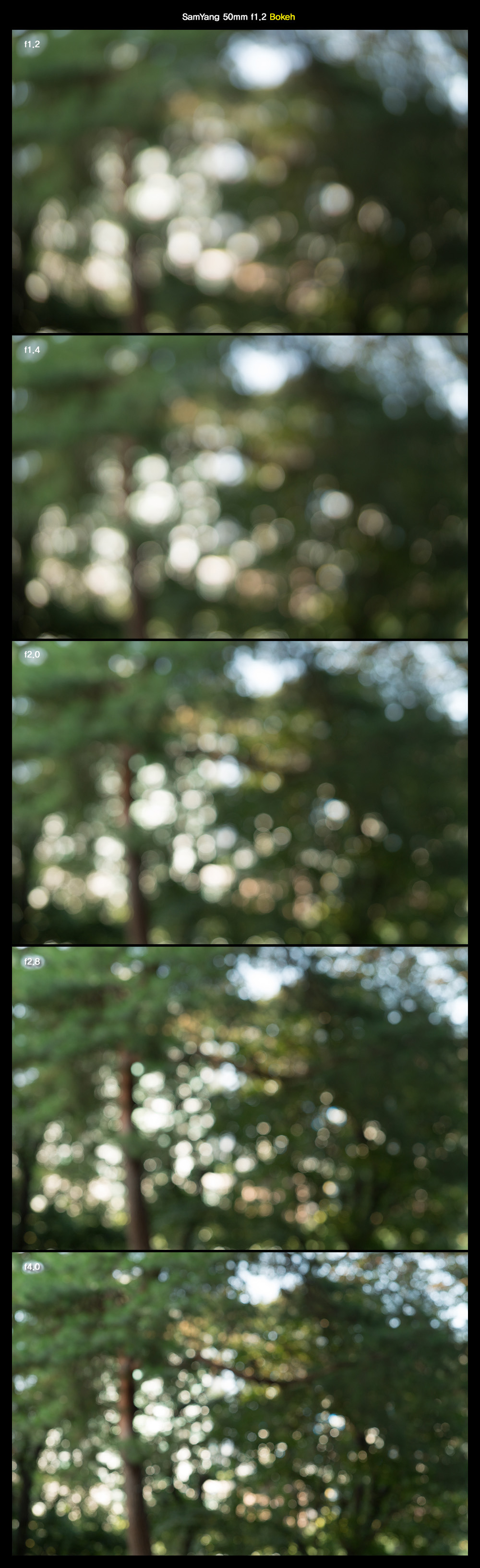 266A0036561C74480C8990