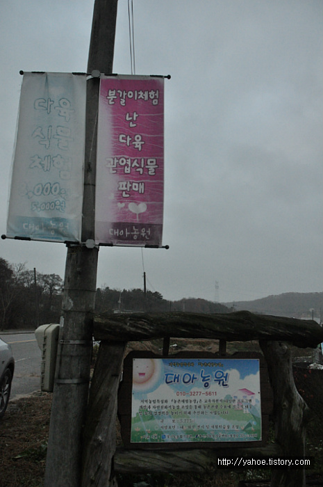 대아농원 이미지